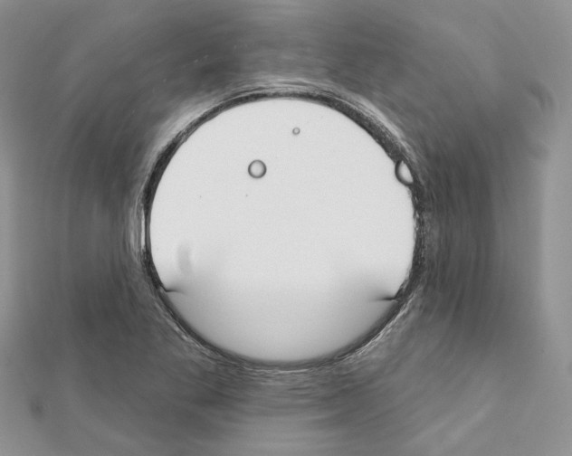 X0000111611269200908281043