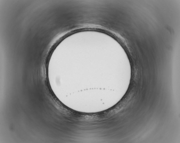 X0000111611271200908281043