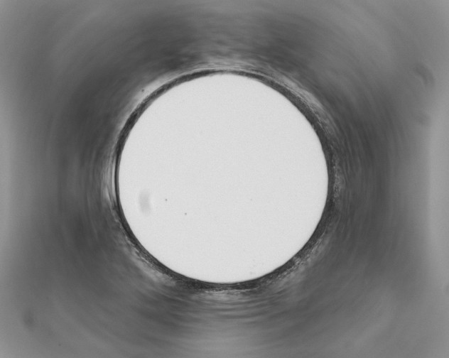 X0000111611272200908281043