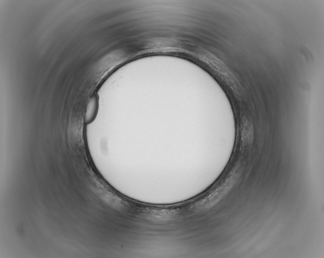X0000111611273200908281043