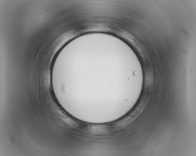 X0000111611274200908281043