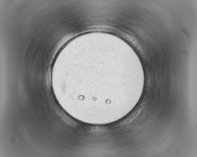X0000111611275200908281043