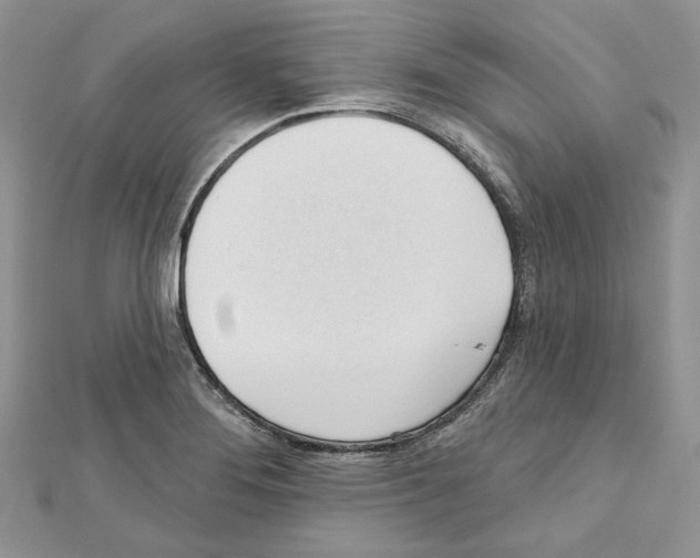 X0000111611276200908281043