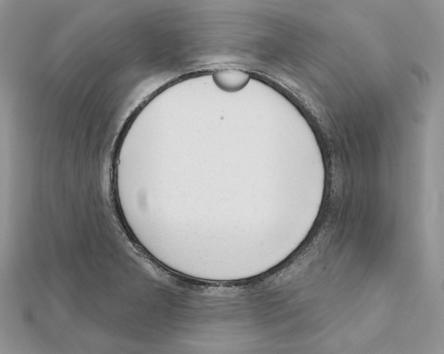 X0000111611277200908281043