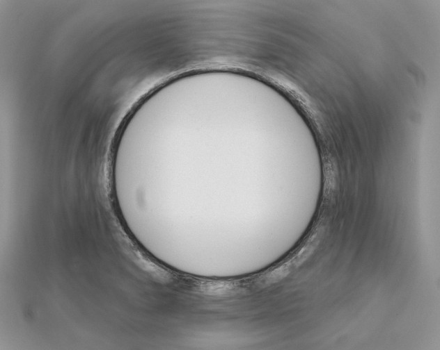 X0000111611278200908281043