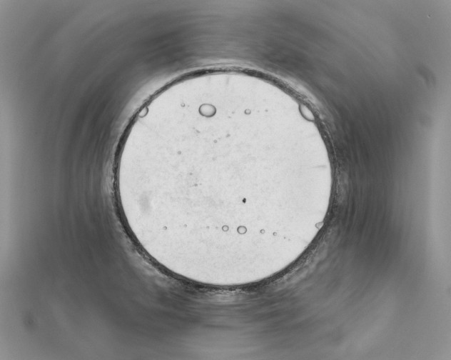X0000111611279200908281043