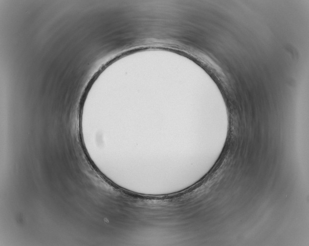 X0000111611280200908281043