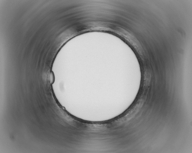 X0000111611281200908281043