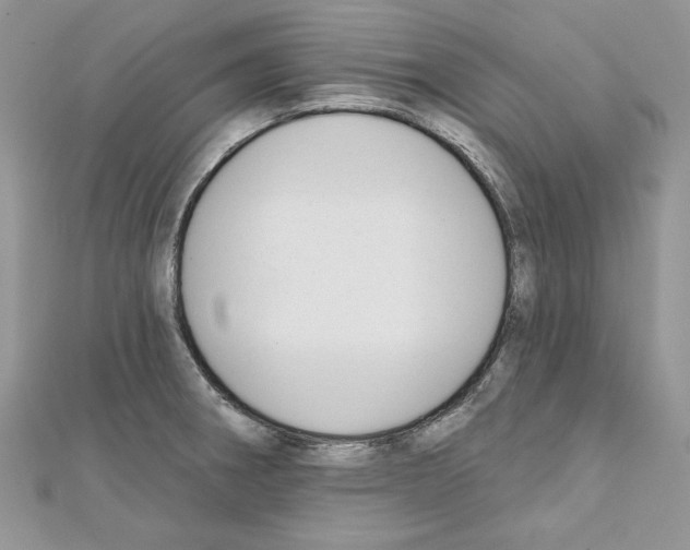 X0000111611282200908281043