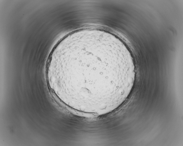 X0000111611283200908281043