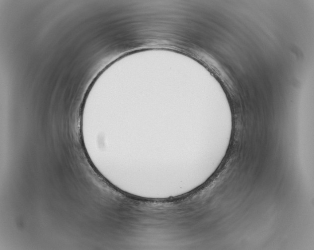 X0000111611284200908281042