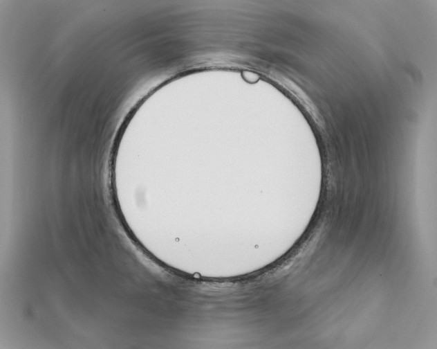 X0000111611285200908281042
