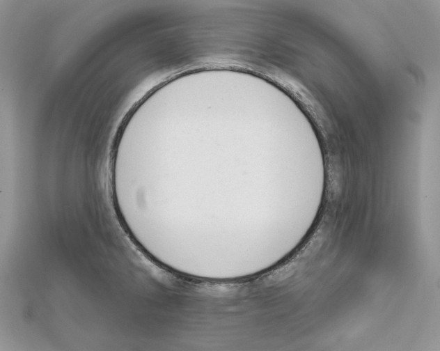 X0000111611286200908281042