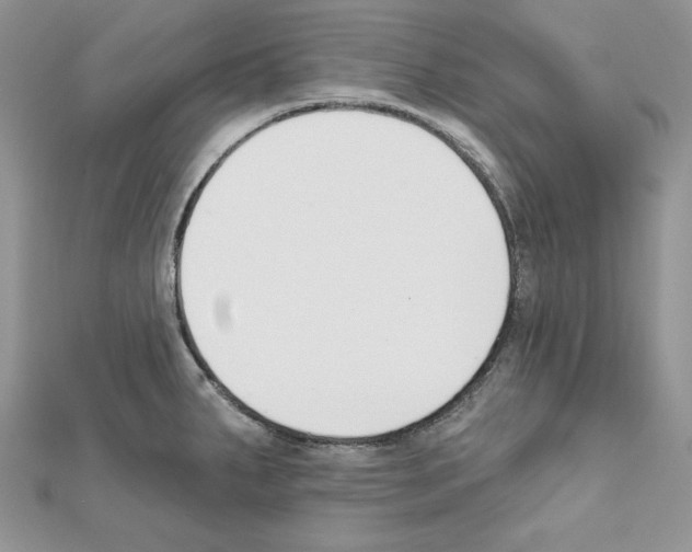 X0000111611287200908281042