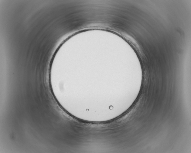 X0000111611288200908281042