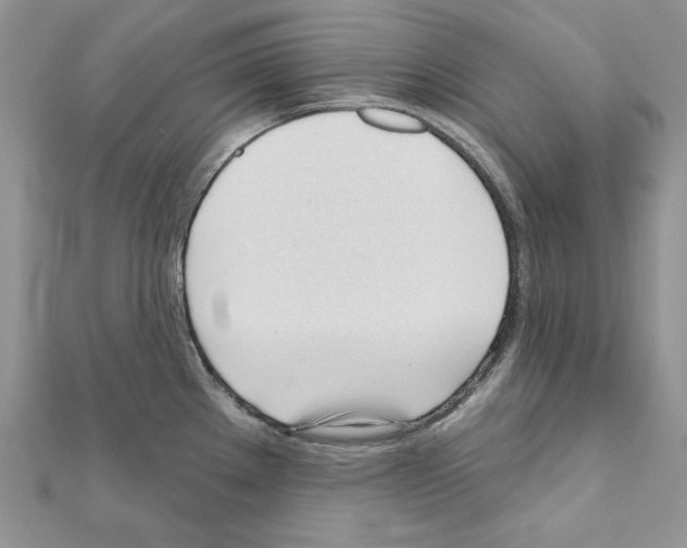 X0000111611289200908281042