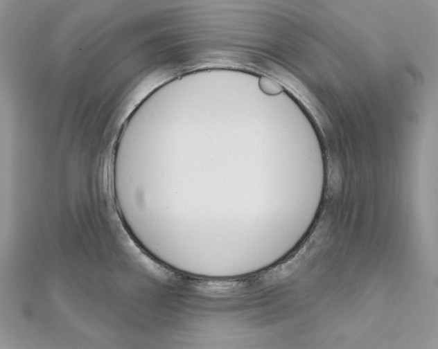 X0000111611290200908281042