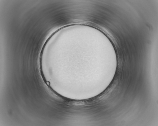 X0000111611291200908281042