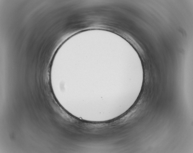 X0000111611292200908281042