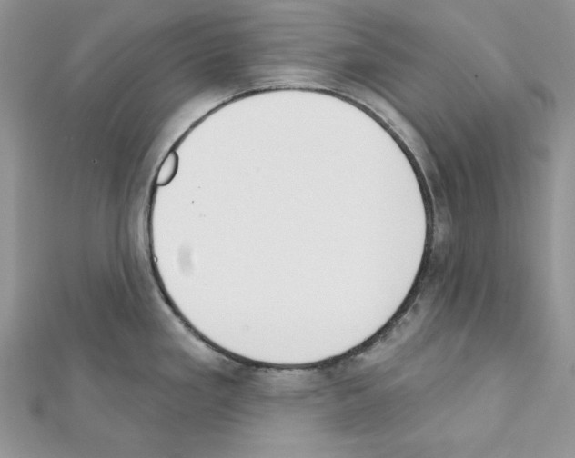 X0000111611293200908281042