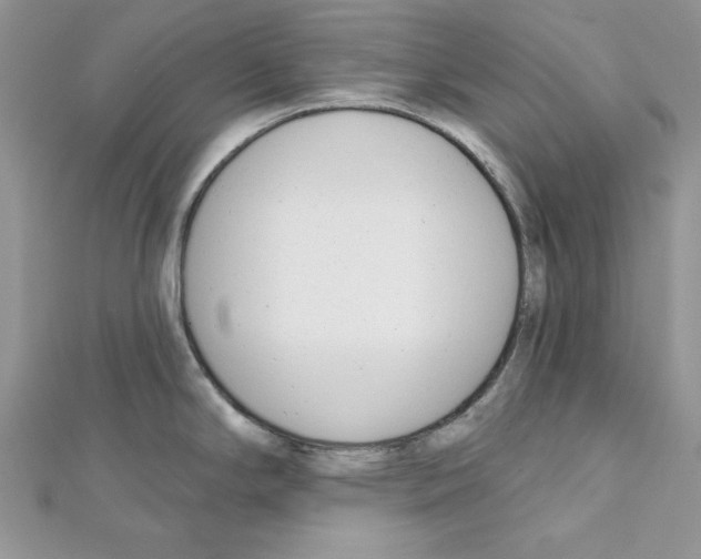 X0000111611294200908281042