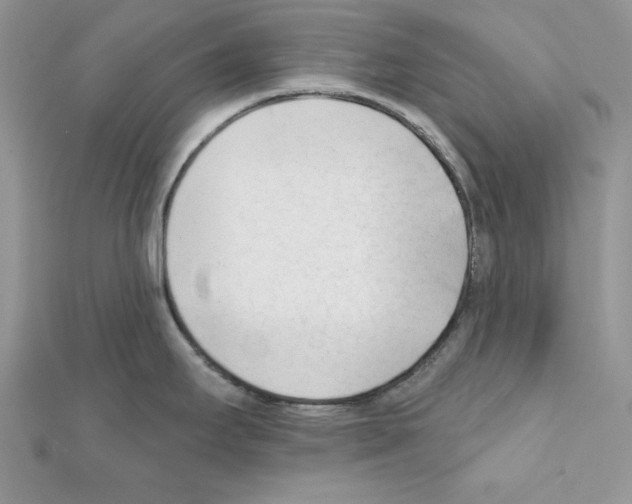 X0000111611295200908281042