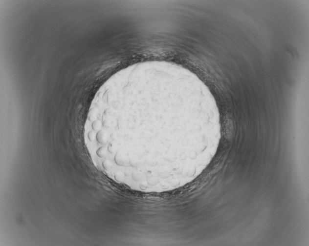 X0000111611297200908281042