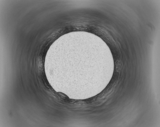 X0000111611298200908281042