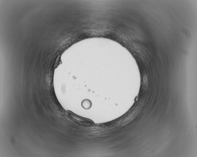 X0000111611300200908281042