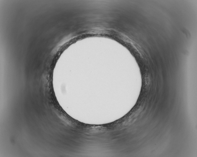 X0000111611304200908281042