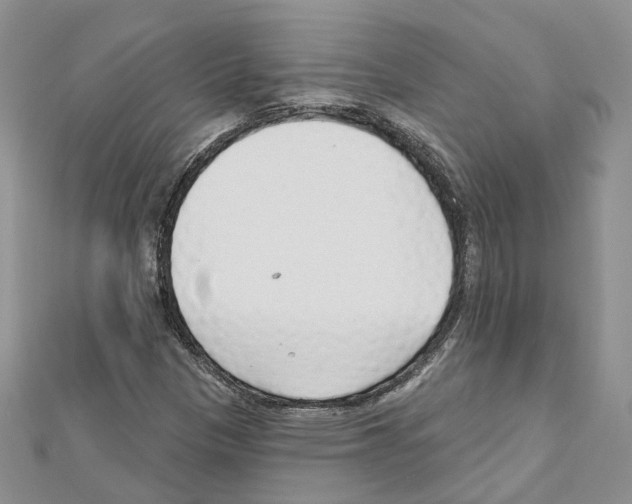 X0000111611305200908281042