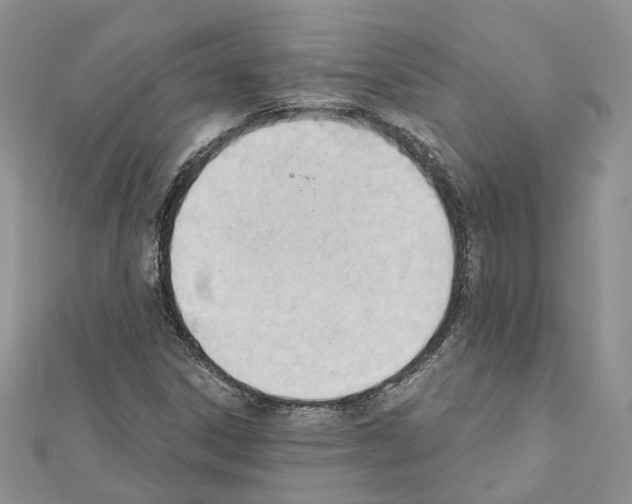 X0000111611306200908281042