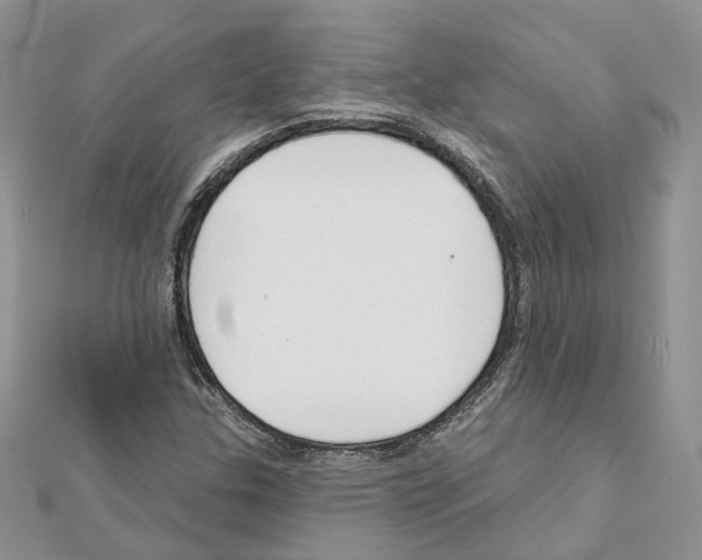 X0000111611307200908281042