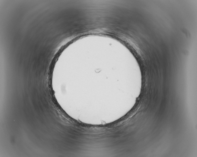 X0000111611308200908281042