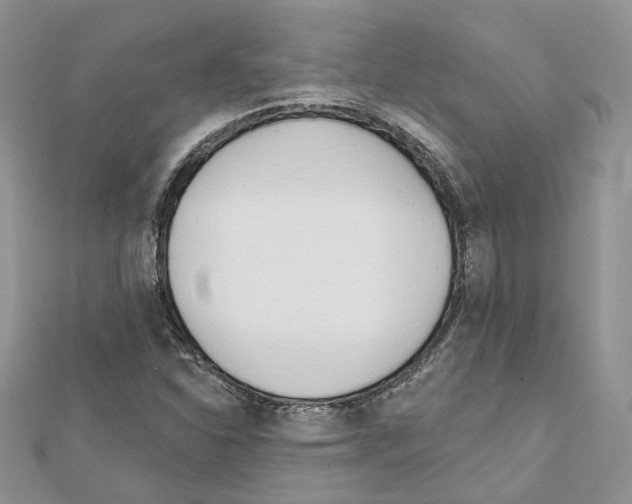 X0000111611310200908281042