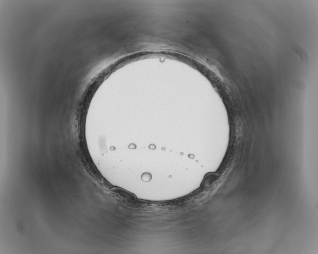 X0000111611311200908281042
