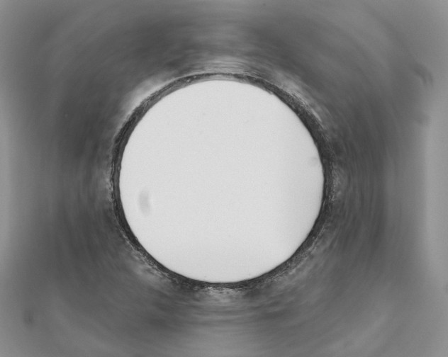 X0000111611312200908281042