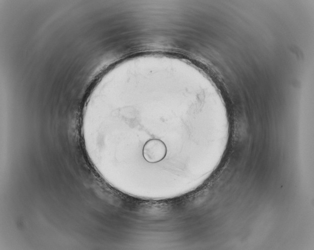 X0000111611314200908281042