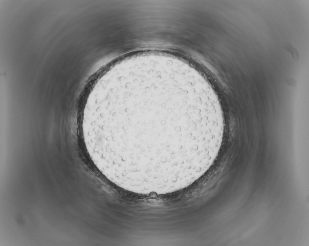 X0000111611315200908281042