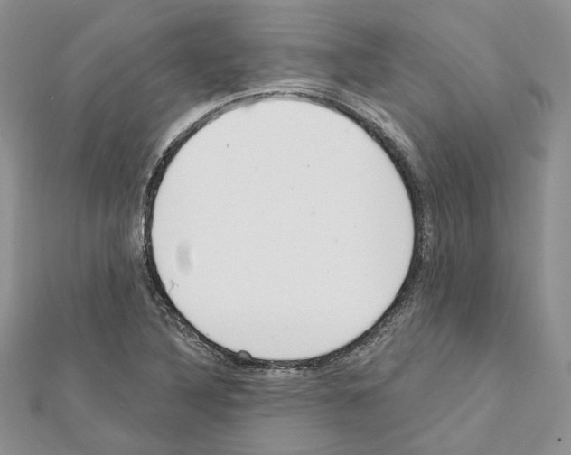 X0000111611316200908281042