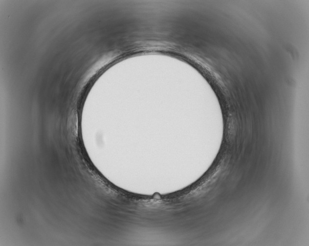 X0000111611317200908281042