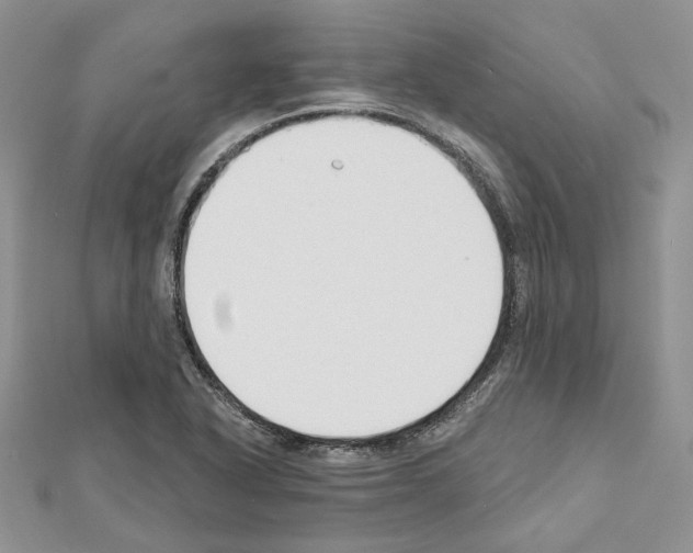 X0000111611318200908281042
