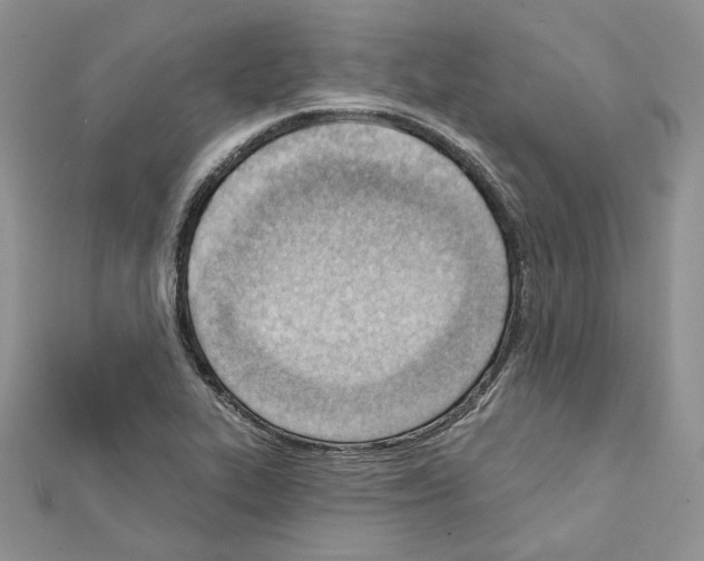 X0000111611319200908281042
