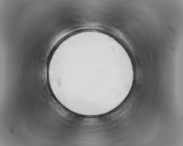 X0000111611320200908281042
