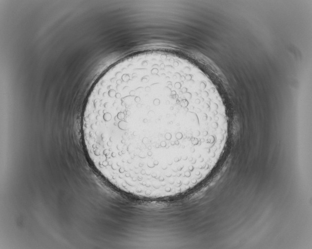 X0000111611321200908281042