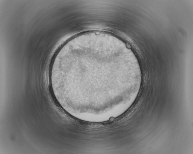 X0000111611323200908281042