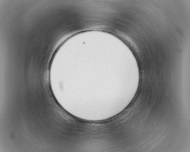 X0000111611324200908281042