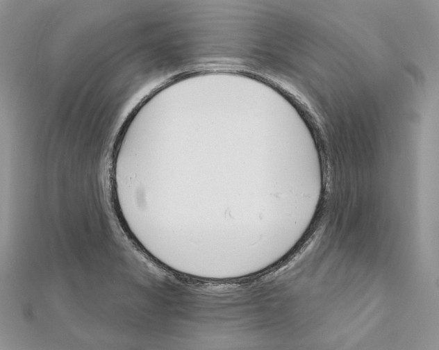 X0000111611325200908281042