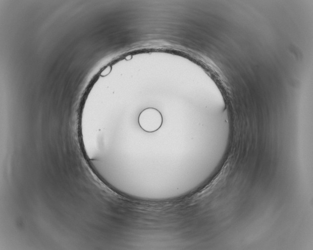 X0000111611326200908281042