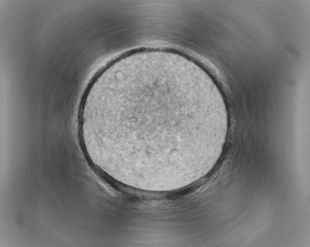 X0000111611327200908281042